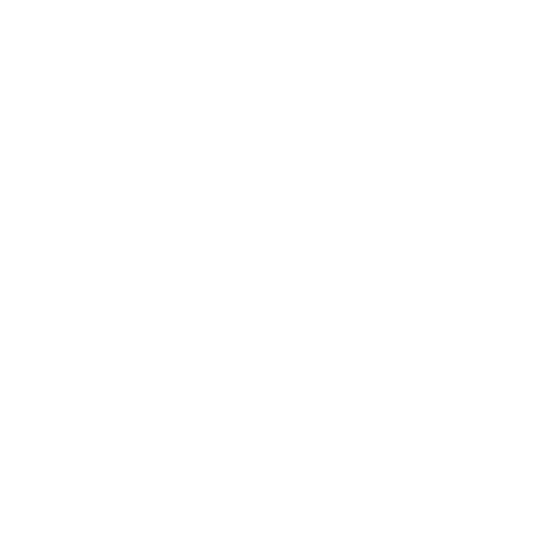 MARATONA DO RIO
